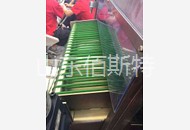 重慶草莓视频在线观看完整圓帶5